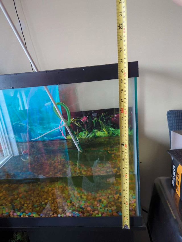 55 gallon Aquarium with Stand in Accessories in Barrie - Image 3