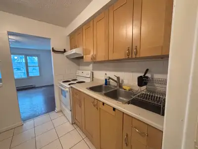 Huge LOFT 2 LEVELS 3 BDR Apartment for Rent (Dufferin Eglinton)