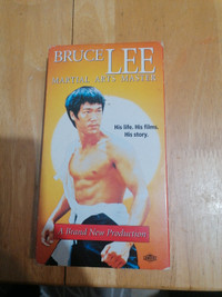 Bruce Lee Martial Arts Master VGS