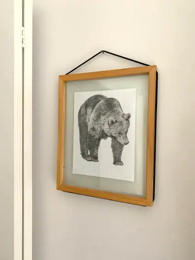 Cadre vitré avec illustration et encadré en bois, View more