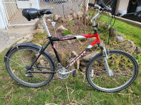Giant and other bikes 80$