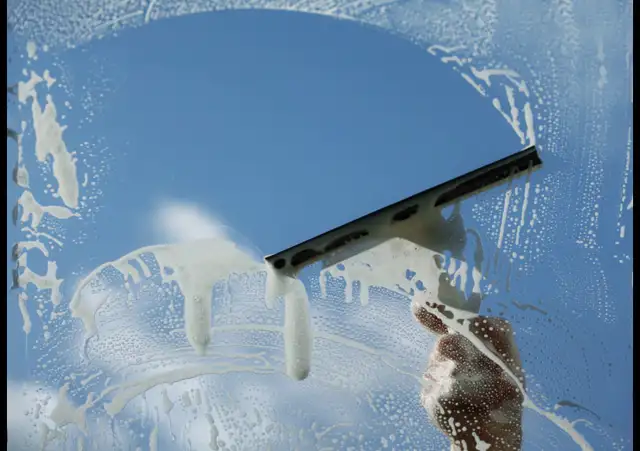 Professional Window Cleaning