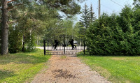 20 ft horse design dual swing wrought iron gate $1899.99