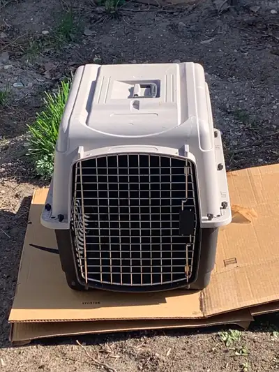 Plastic dog crate in excellent condition. 23” L X 15.5” W X 21” T $60 OBO