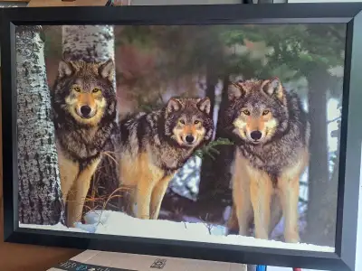Framed Wolf Print, View more