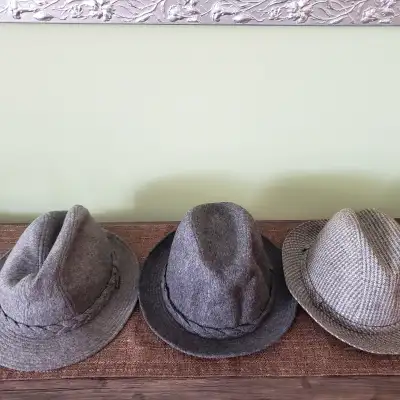 Biltmore, Stetson, Mallory Fedoras size 7 and 7 and 3/8 mainly I can confirm size on any in pictures...