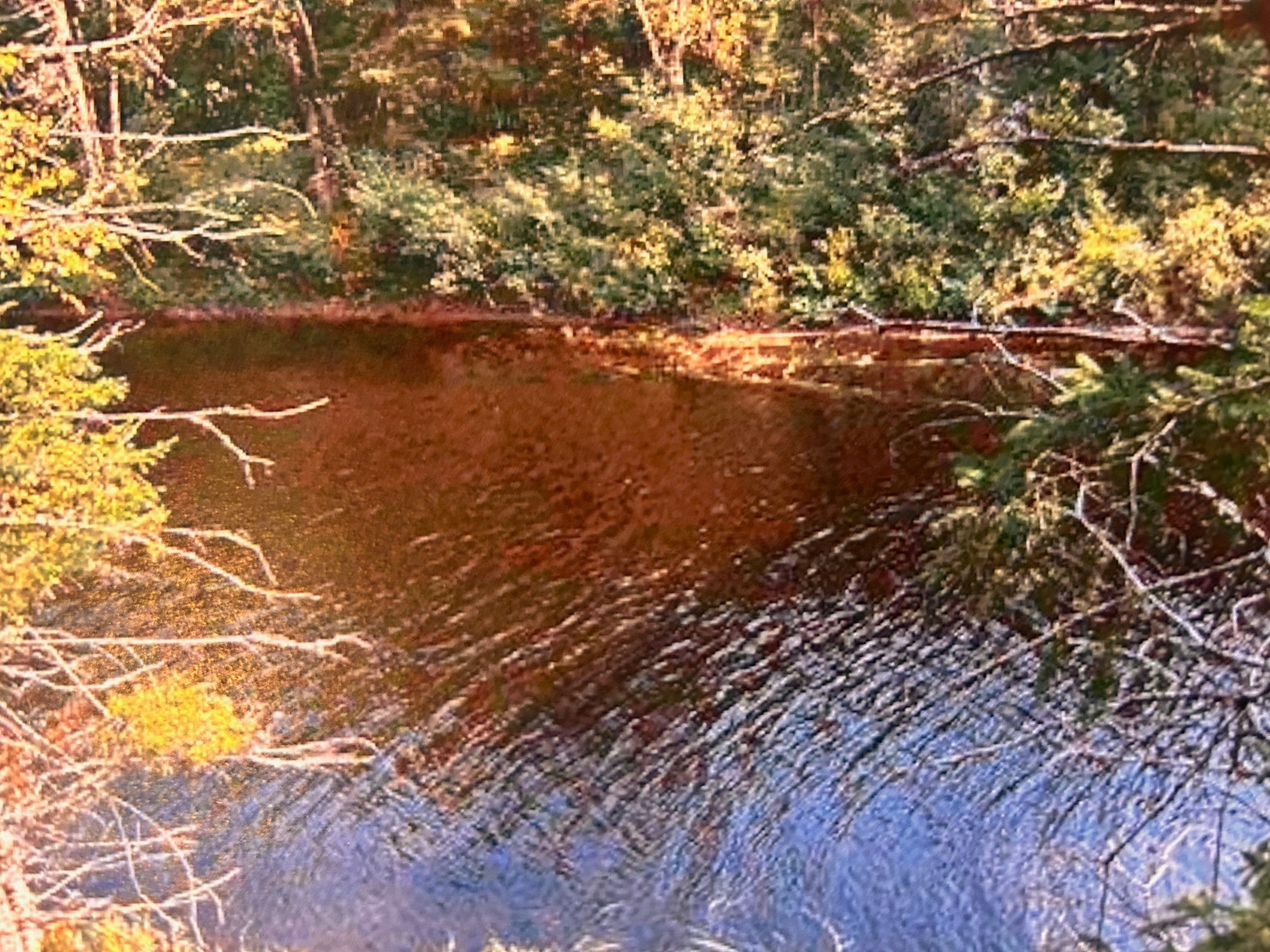 Terrain à vendre Mandeville, Lanaudière 35 000 pi2 bord de l'eau — photo 2