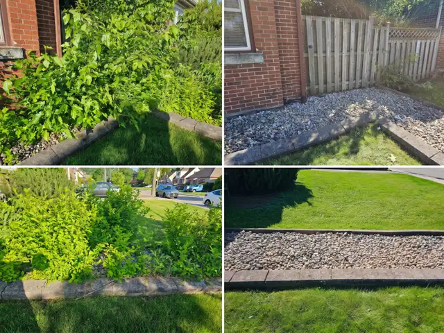 Reliable & Affordable Landscaping & Gardening - Fall Cleanup in Other in Hamilton - Image 6