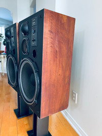 Realistic MACH TWO SPEAKERS 