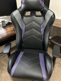 Lightly Used Computer / Gaming Chair
