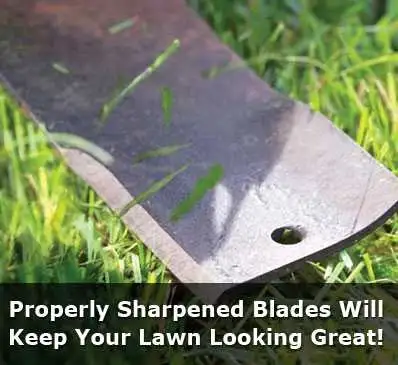 LAWN MOWER SERVICE, View more
