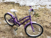 Girls giant bicycle 20 inch
