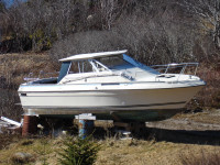 Project 1974 Raven 27