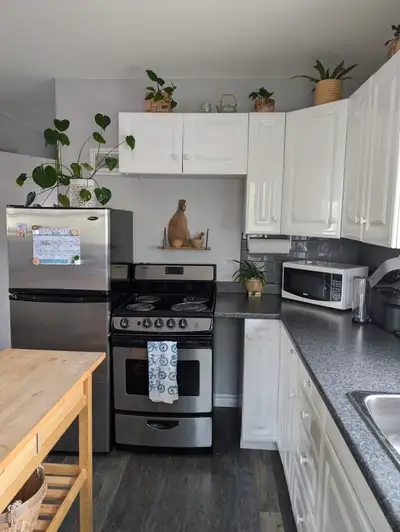 1 bedroom apartment