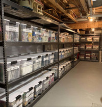 Storage space available in basement of house