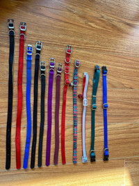 Cat collars for sale