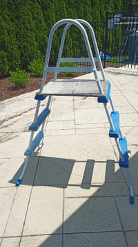Pool Ladder with Custom Platform