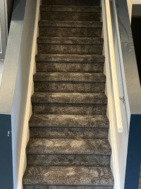 Carpet Installation/Carpet Installer 