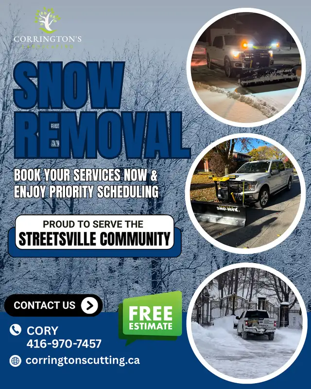 Landscape/Snow removal in Lawn, Tree Maintenance & Eavestrough in Mississauga / Peel Region - Image 5