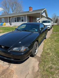 Mustang gt