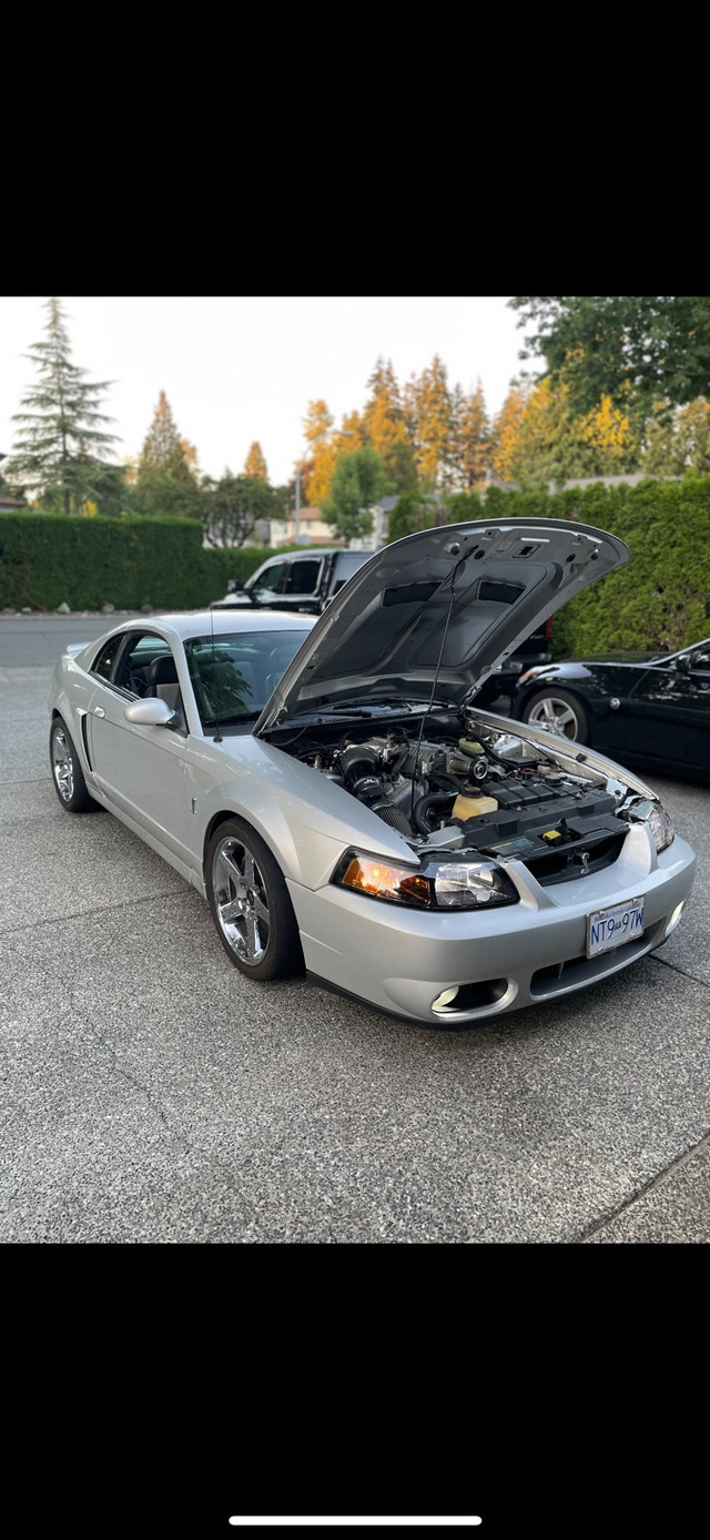 Ford Mustang  in Cars & Trucks in Burnaby/New Westminster