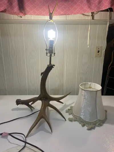Taxidermy 14-Point Deer Antlers Table Lamp with Shade, View more