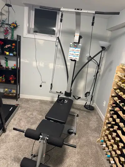 Get ready to sculpt your dream physique with this Bowflex Blaze home gym! This is a comprehensive fi...