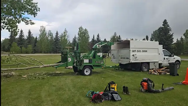 Take It Down Tree Service LTD.62863720526723121