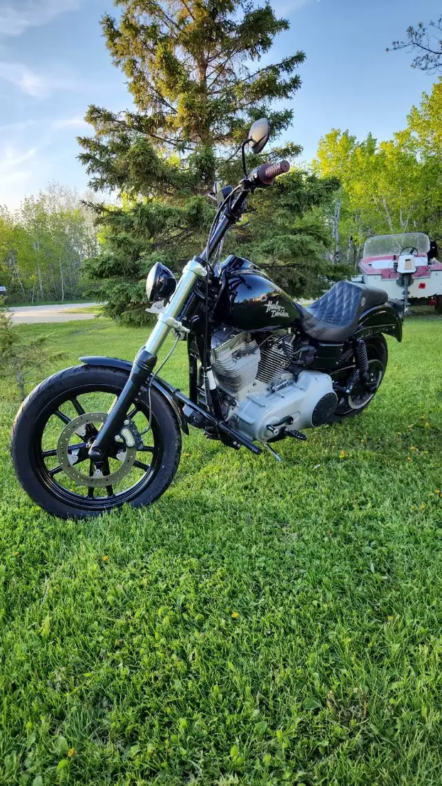 2009 harley Davidson dyna in Street, Cruisers & Choppers in Winnipeg - Image 5
