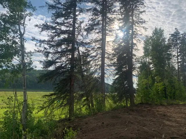 Paradise River Lots