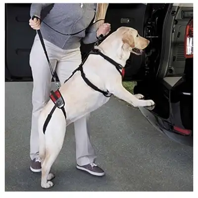 NEW Dog Mobility / Lifting Harness for Medium Dog, View more