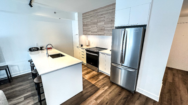 New 1 Bed 1 Bath Condo for rent in St-Zotique dans Locations longue durée  à Ouest de l’Île - Image 4