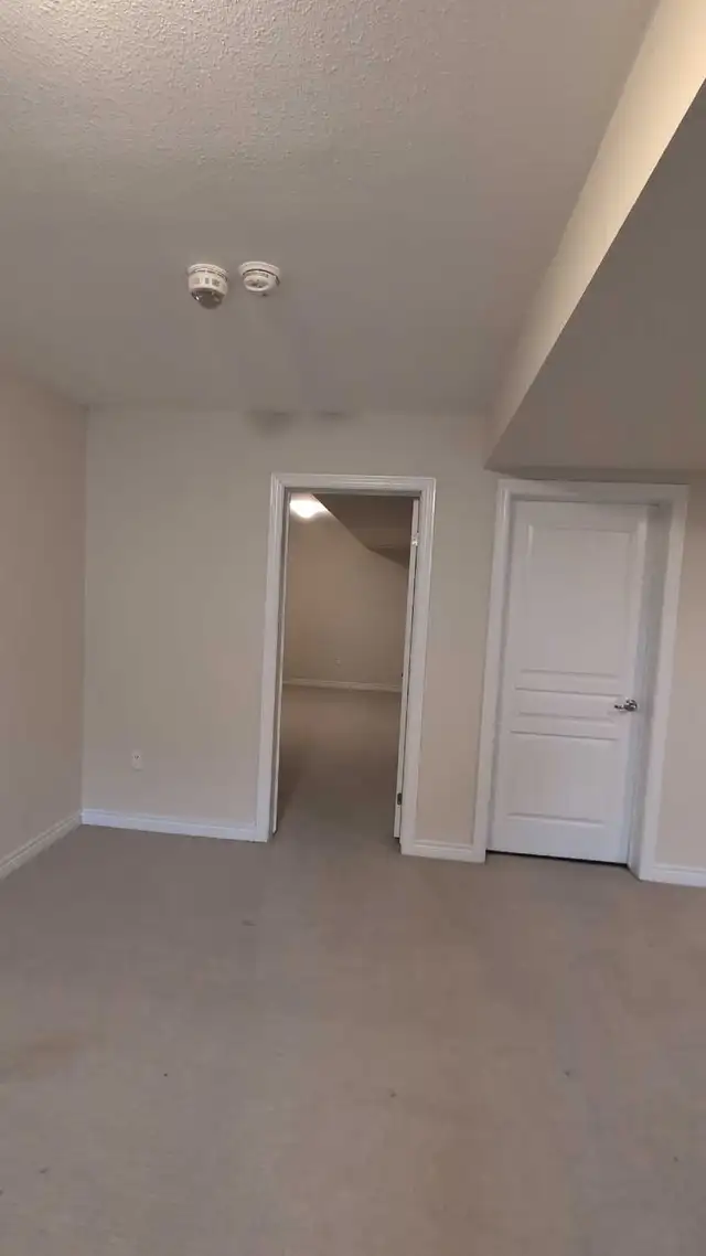 Painter, construction525303516664309769