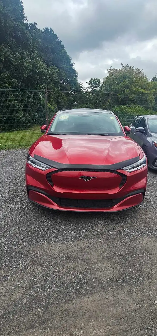 Ford Mustang Mach-E Select572876092342937601