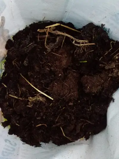All natural manure produced at our local farm. No chemicals or additives. Bagged and ready to use. G...