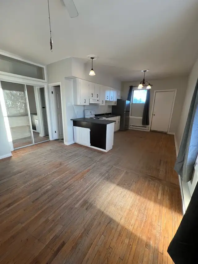 Downtown Windsor 1 Br Apt $1200 immediately