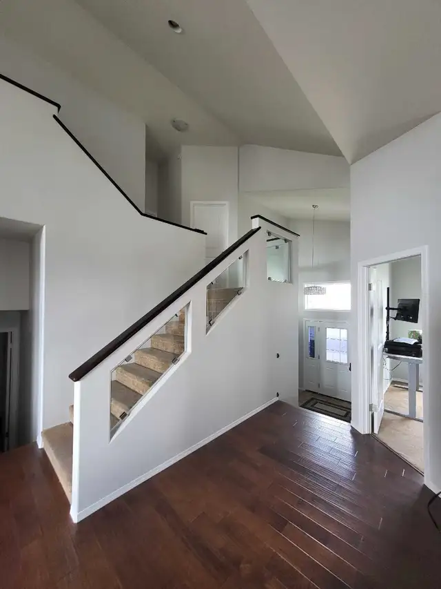 Pro Painter63235315470467123