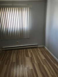 Room for Rent, $600 per/month, Queen and Kennedy, Brampton