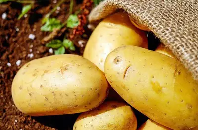 $22/hr  Farm Labourer Wanted, View more