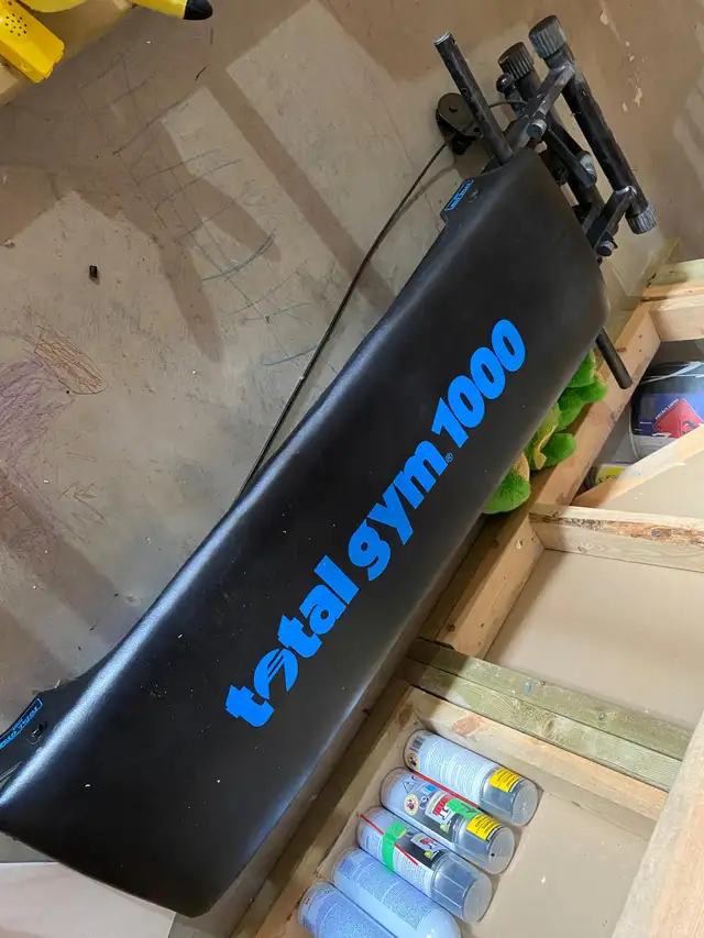 Complete Indoor Gym Set65104253497345121