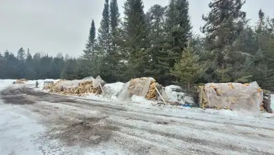Birch Firewood Available, View more