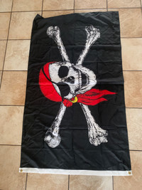 Pirate flag decoration Halloween 