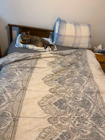Lit double avec matelas et sommier. Peut partir le 31 juillet pas de livraison. Près de Verdun