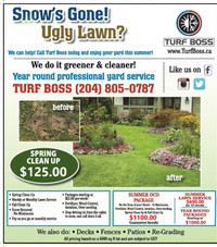 Spring Clean up Special