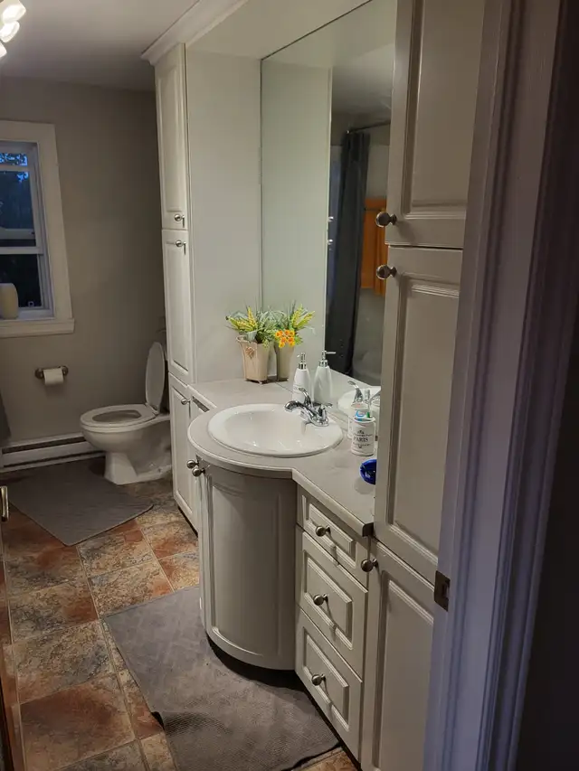 ile d’Orléans  4 1/2 avec SUPERBE VUE SUR LE FLEUVE in Long Term Rentals in Québec City - Image 4