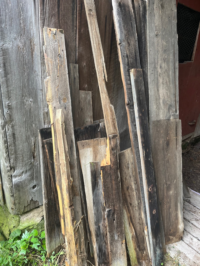 Barnboard in Floors & Walls in Ottawa - Image 2