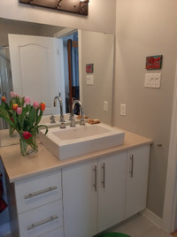 48-inch bathroom vanity set