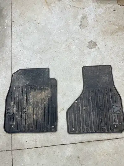Selling a set of front floor mats I have from my 2013 Ram 1500. Asking $50