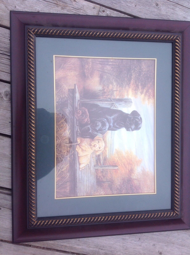 Labrador dogs framed picture in Arts & Collectibles in Annapolis Valley
