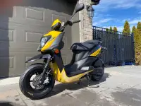 Scooter 50cc Yamaha Zuma X 2014